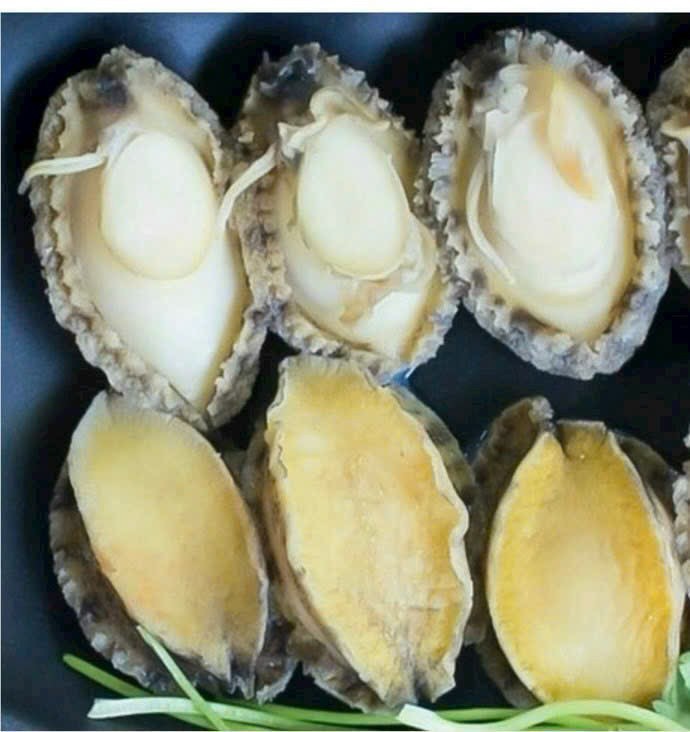 z5248794033498_5e9005f243ac140a3997c6347981ed39 z5248794033498_5e9005f243ac140a3997c6347981ed39